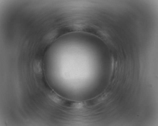 X0000062890131200601131344