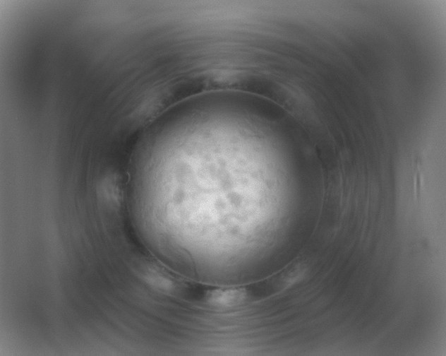 X0000062890135200601131344