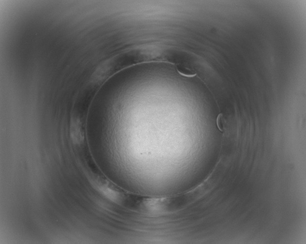 X0000062890136200601131344