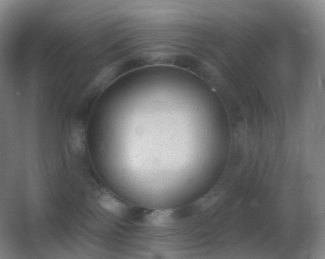 X0000062890138200601131344