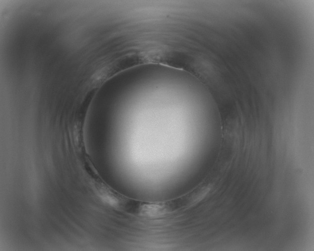 X0000062890139200601131344