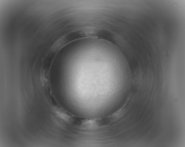 X0000062890140200601131344