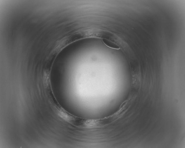 X0000062890142200601131344