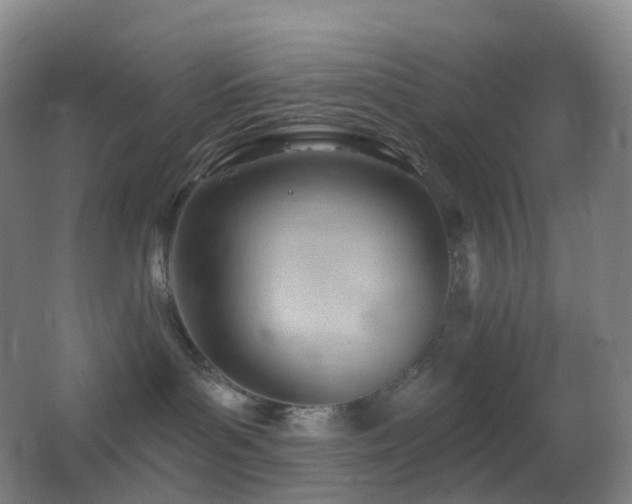 X0000062890143200601131344