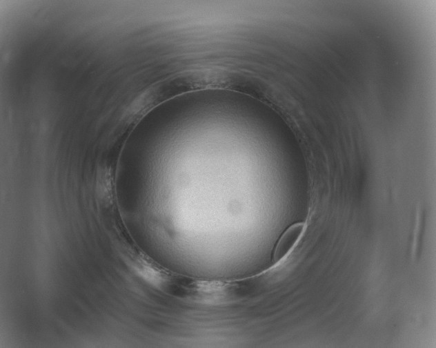 X0000062890144200601131344