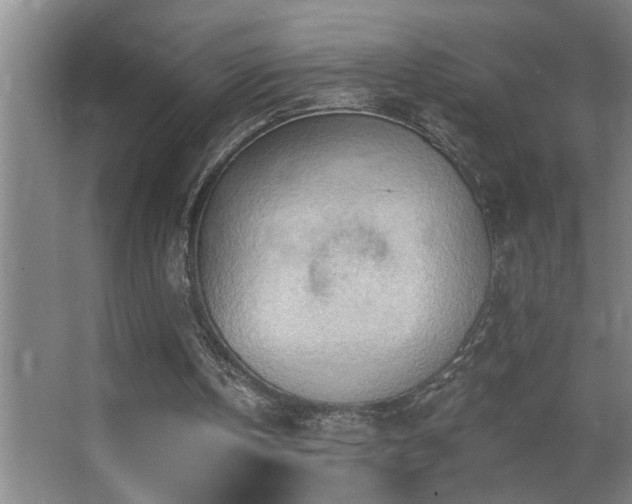 X0000062890146200601131343