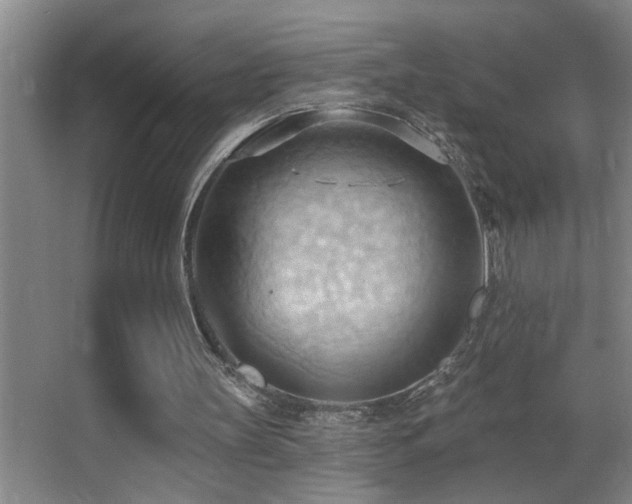 X0000062890147200601131343