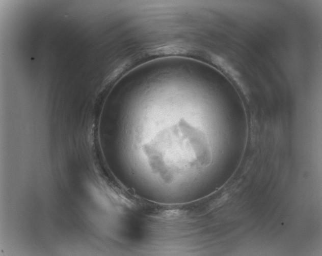 X0000062890153200601131343