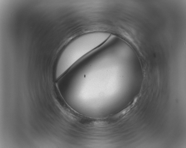 X0000062890154200601131343