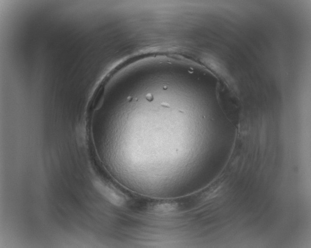 X0000062890156200601131343