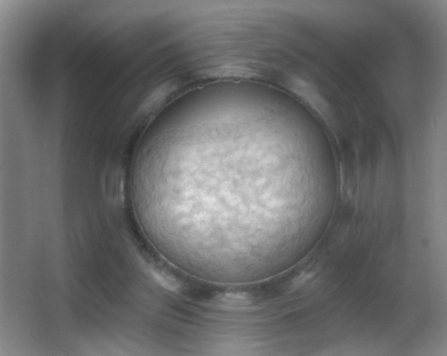 X0000062890157200601131343