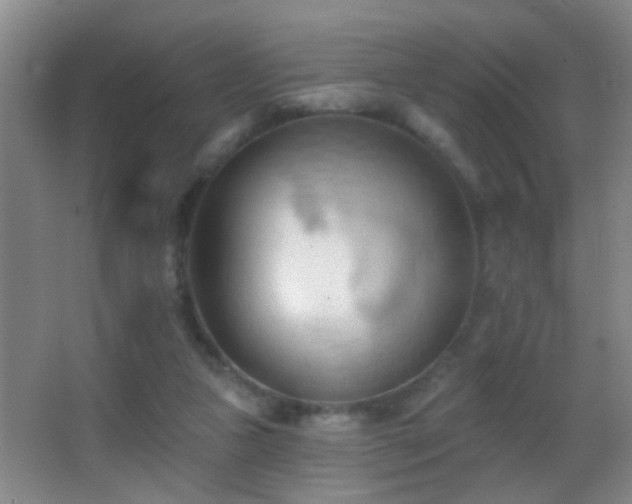 X0000062890161200601131343