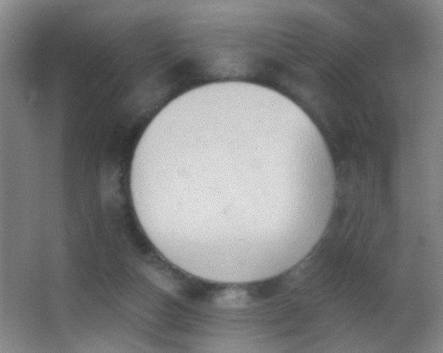 X0000062890162200601131343