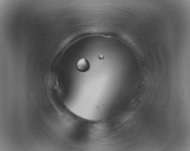 X0000062890164200601131343