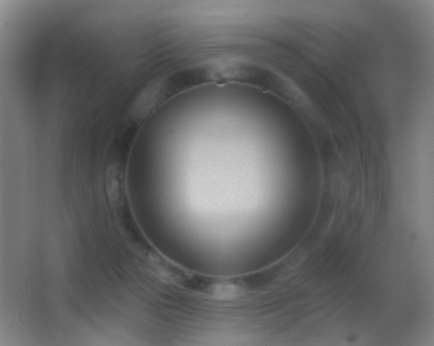 X0000062890169200601131344