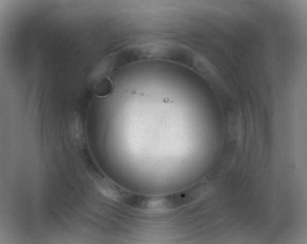 X0000062890173200601131344