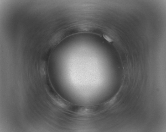 X0000062890174200601131344