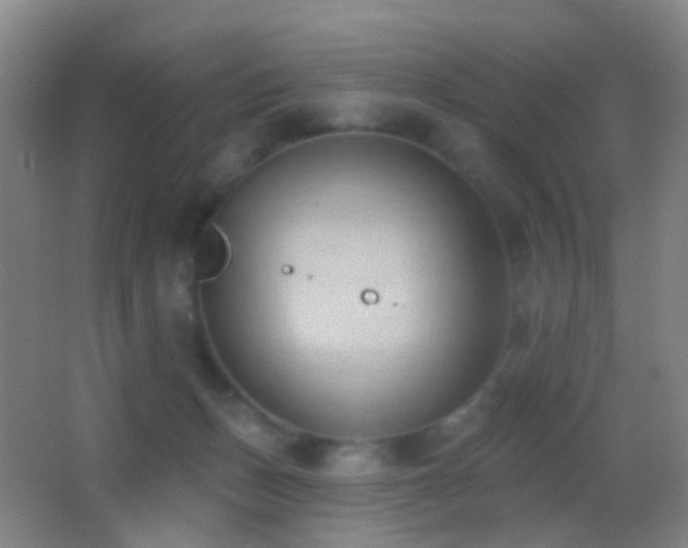 X0000062890175200601131344