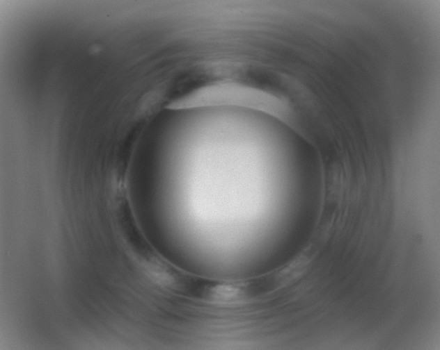 X0000062890176200601131344