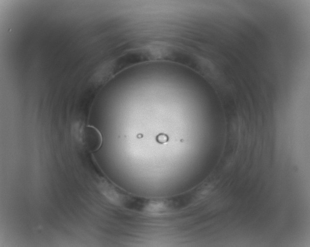 X0000062890177200601131344