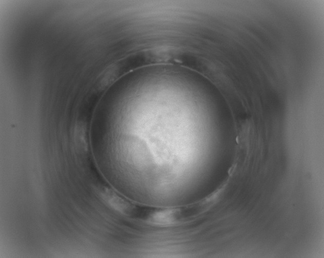 X0000062890178200601131344