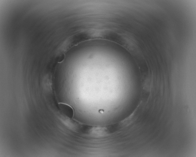 X0000062890179200601131344