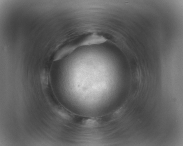 X0000062890180200601131344