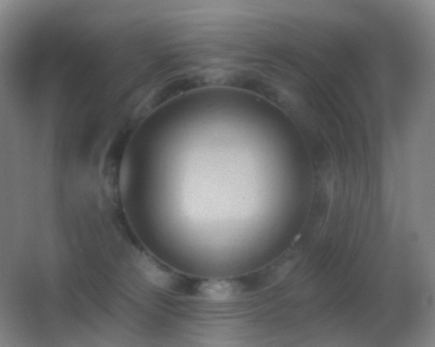 X0000062890181200601131344