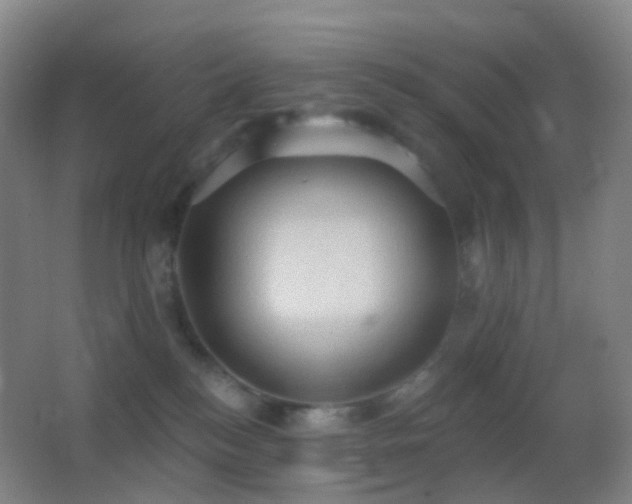 X0000062890184200601131344