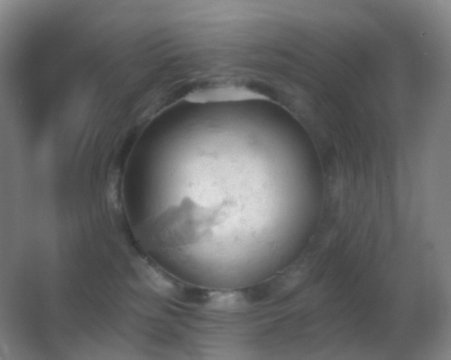 X0000062890185200601131344