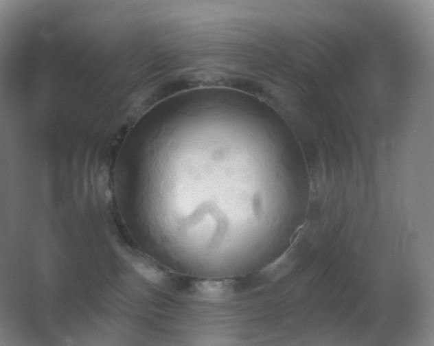 X0000062890187200601131344