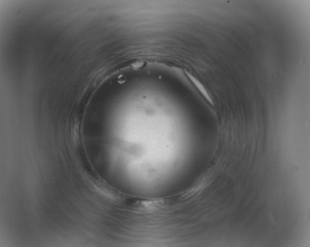 X0000062890188200601131344