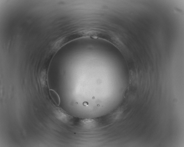 X0000062890189200601131344