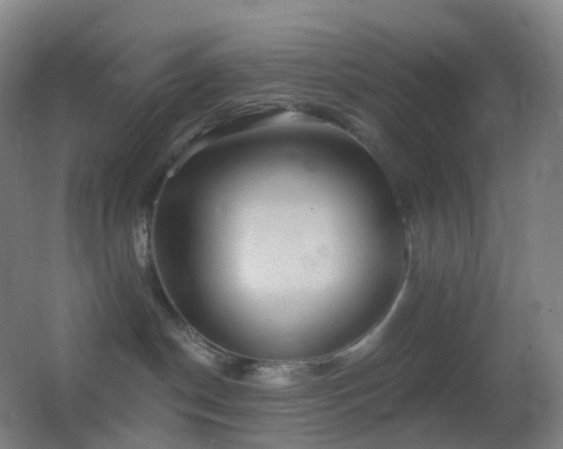 X0000062890190200601131344