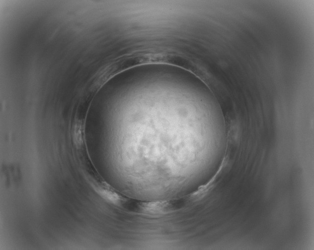 X0000062890191200601131344