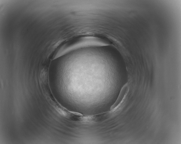 X0000062890192200601131344