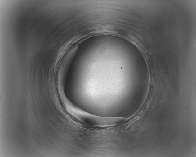 X0000062890193200601131343