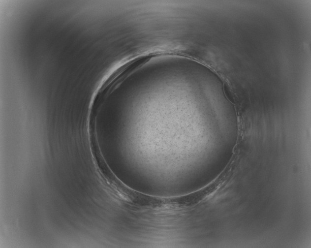 X0000062890196200601131343