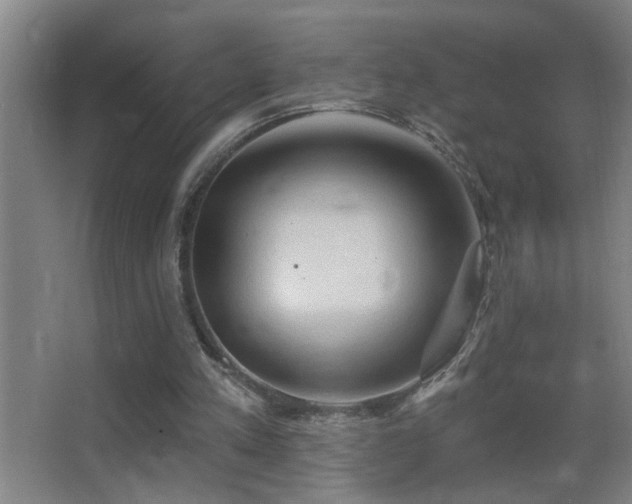 X0000062890197200601131343