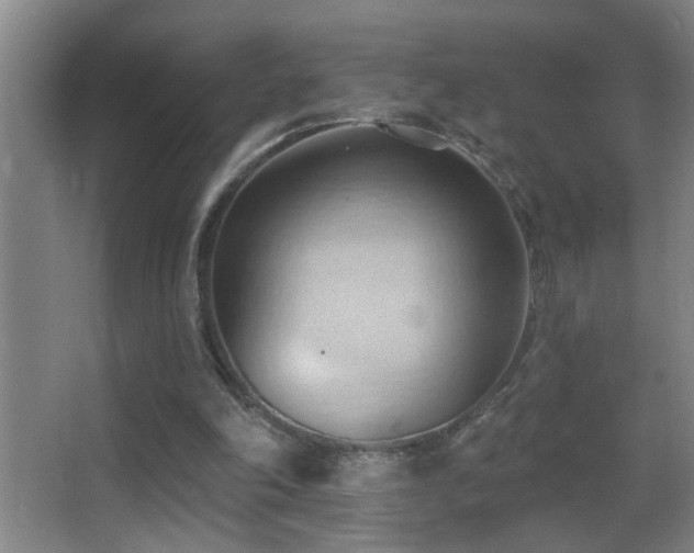 X0000062890198200601131343