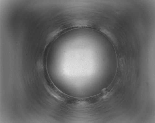 X0000062890203200601131343