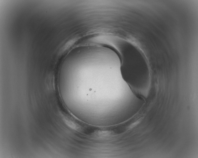 X0000062890205200601131343