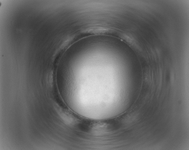 X0000062890206200601131343