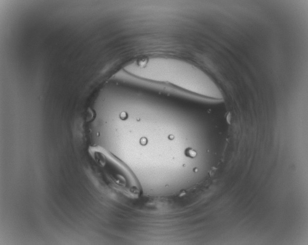 X0000062890211200601131343