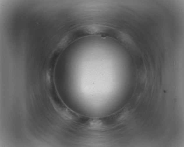 X0000062890214200601131343