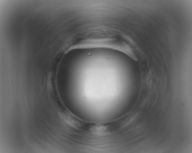 X0000062890217200601131343