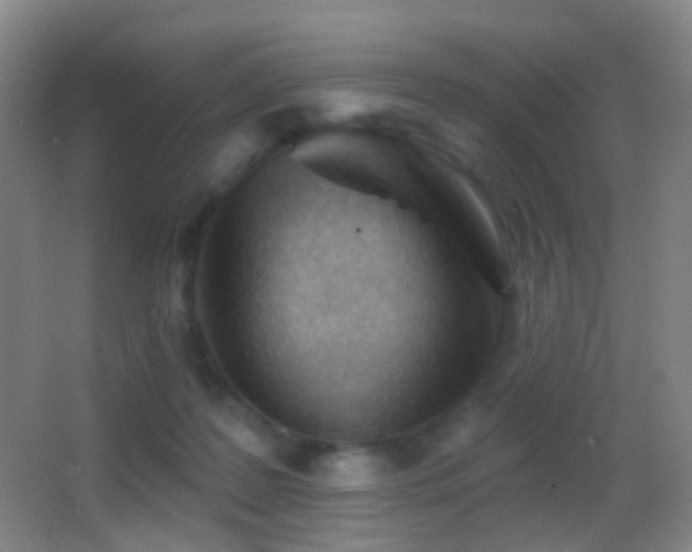 X0000062890219200601131343