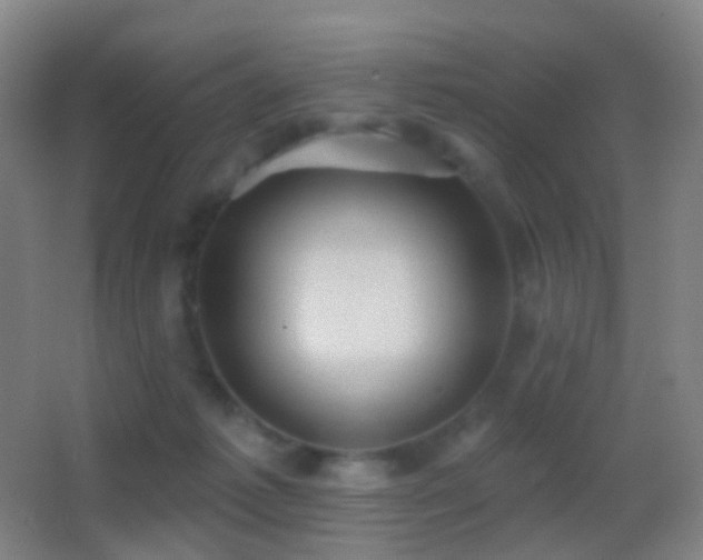 X0000062890221200601131343