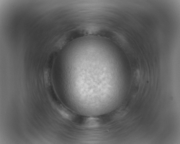 X0000062890222200601131343