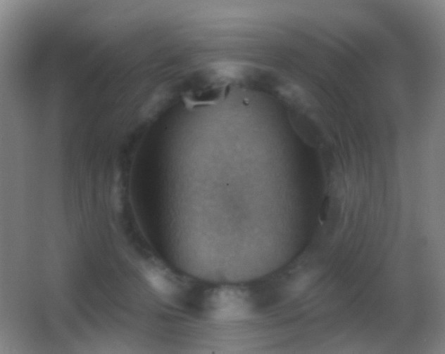 X0000062890223200601131343